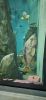 PICTURES/Oregon Coast Aquarium - Newport/t_Hanging Fish1.jpg